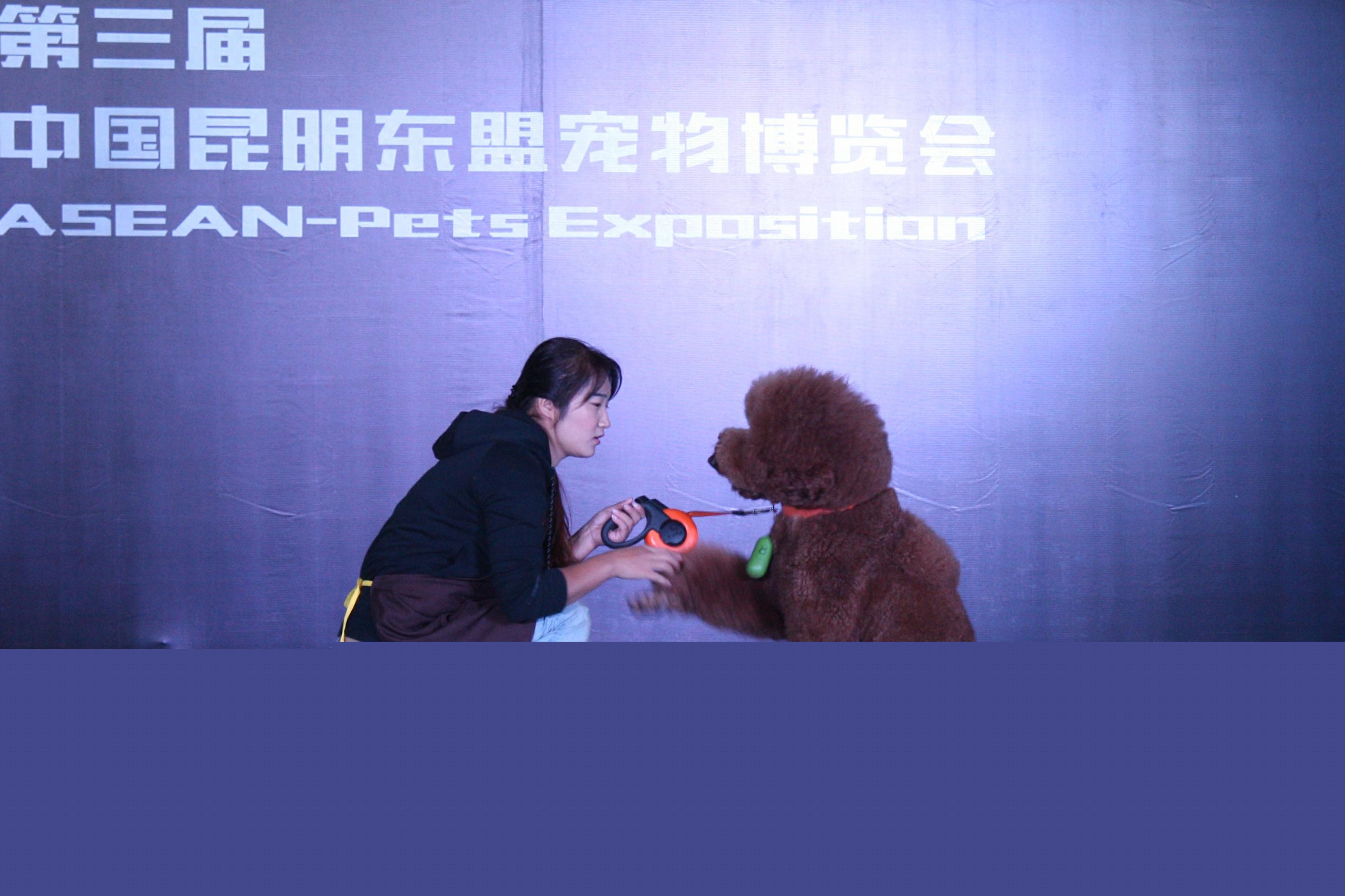 有萌，有料，萌爆春城——第三届中国昆明东盟宠物博览会